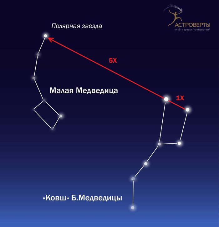 Ян гевелий малая Медведица