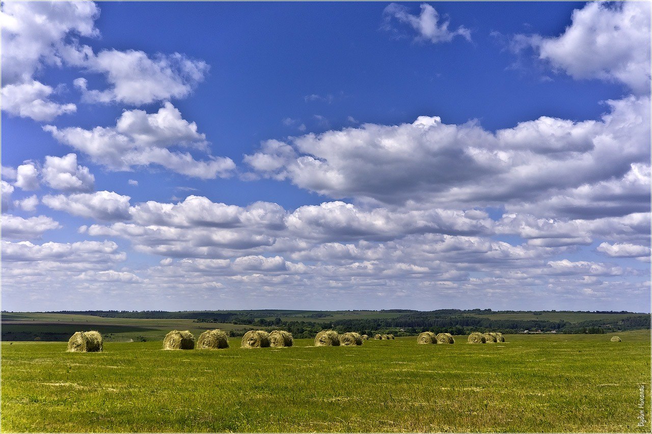 Про русские поля. Русское поле. Поле русское поле. Поля России фото. Русское поле картинки.