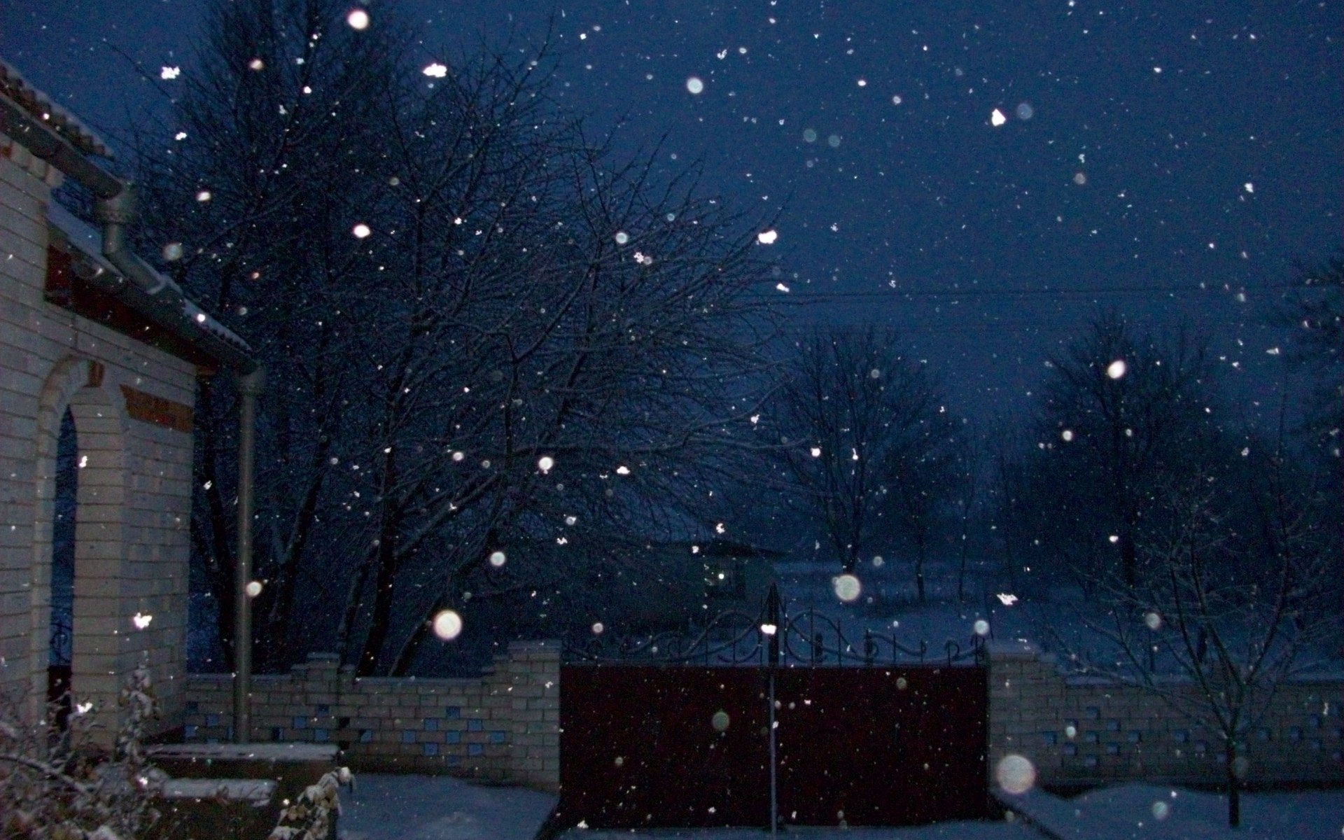 Картинки снега ночь. Снегопад. Снегопад ночью. Снег ночью. Снег идет.