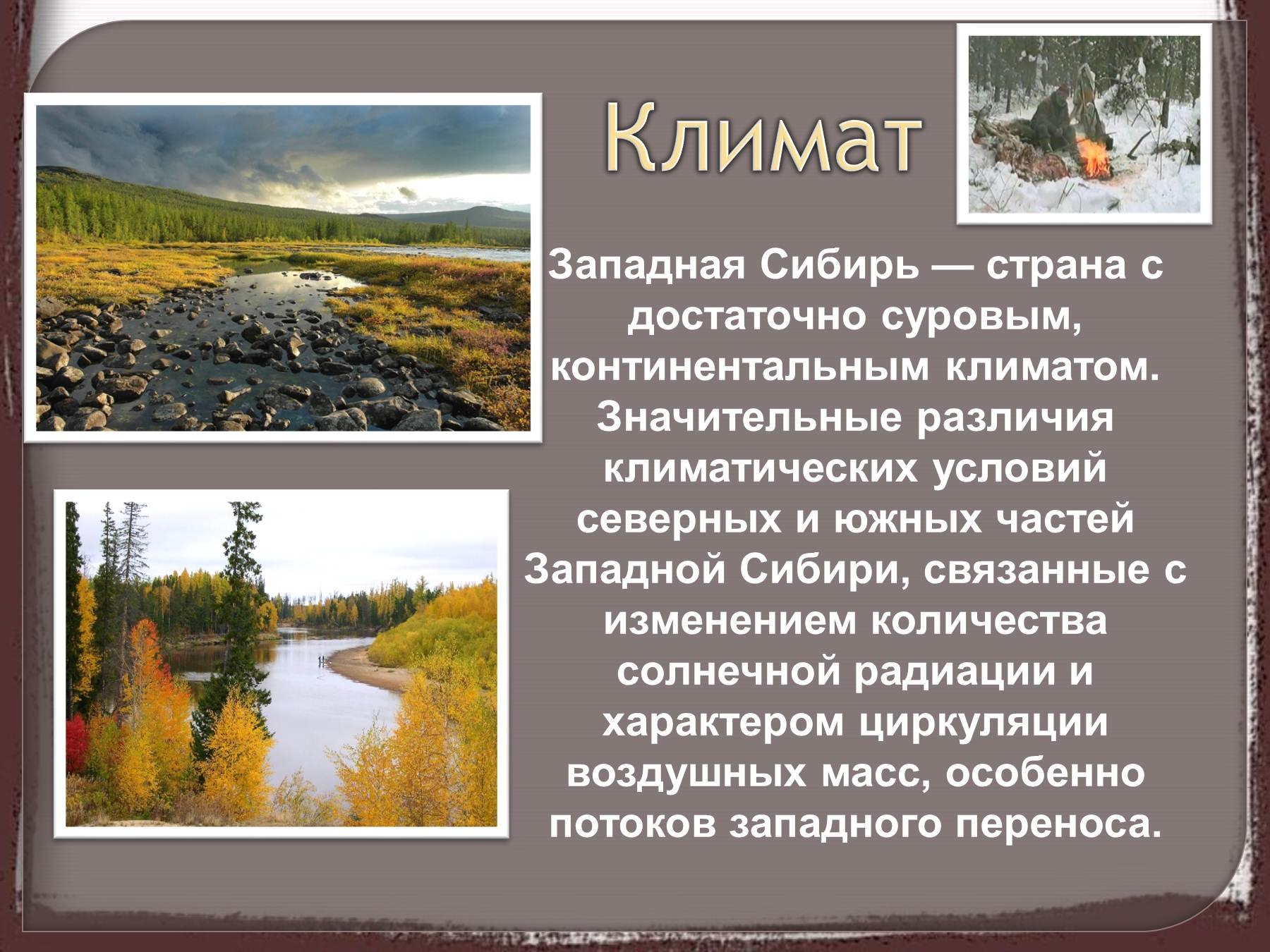 Природа сибири кратко. Западная Сибирь презентация. Сибирь. Сибирь описание природы. Природа Сибири доклад.