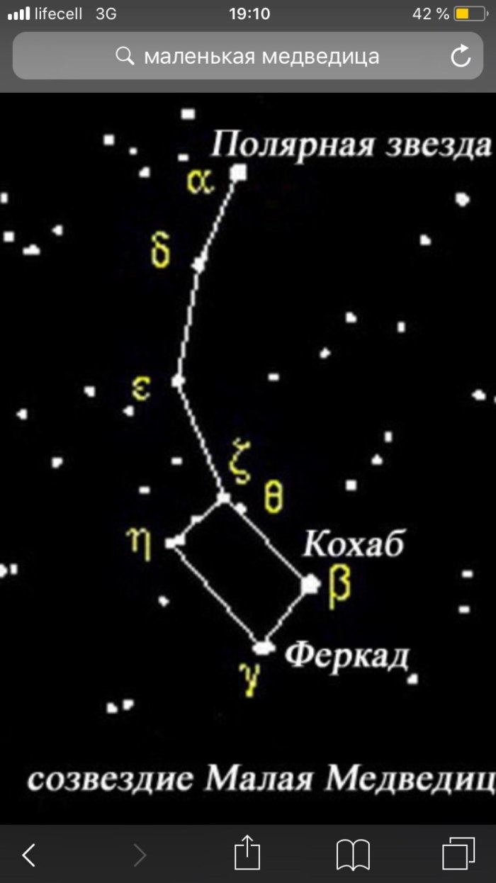 Ursa Minor Major