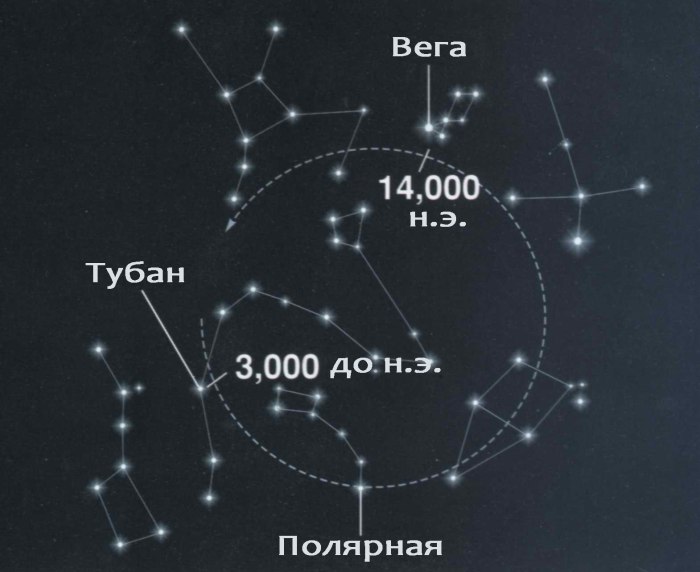 Феркад звезда созвездия