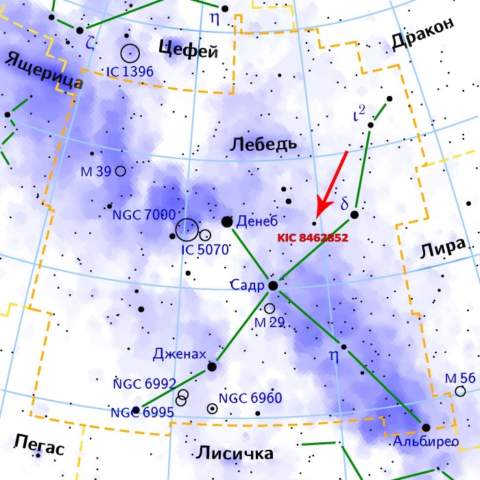 Азиатская табби