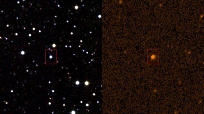 Звезда табби kic 8462852
