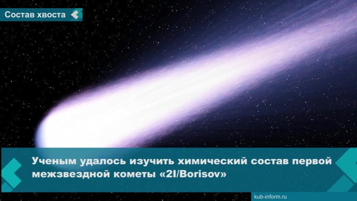 Первая межзвездная Комета