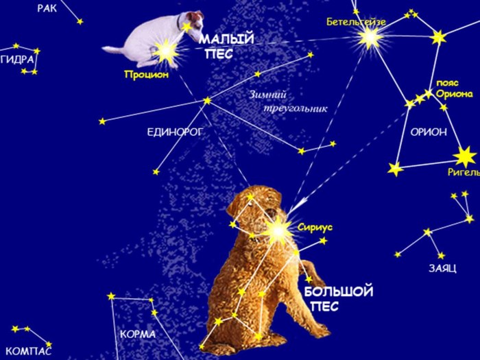 Сириус Созвездие малого пса