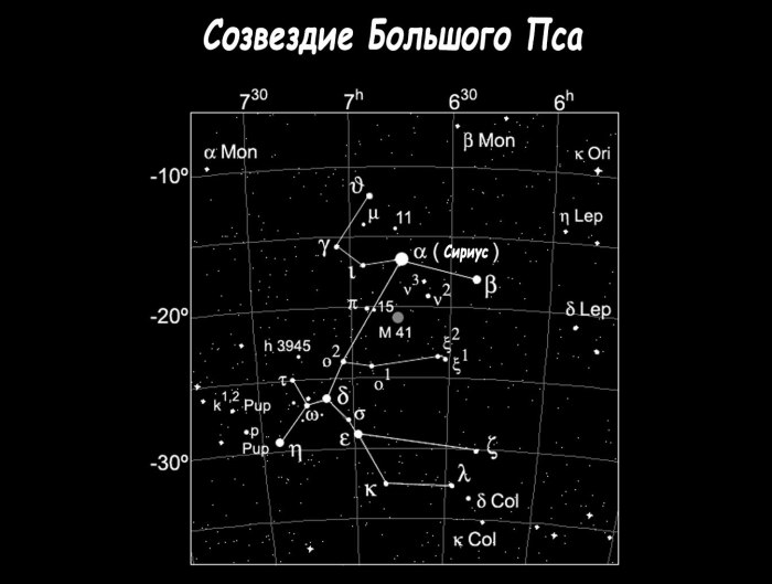 Canis Major Созвездие