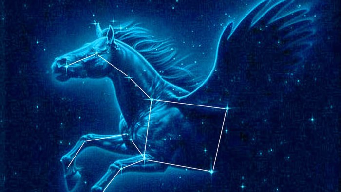 Monoceros Созвездие