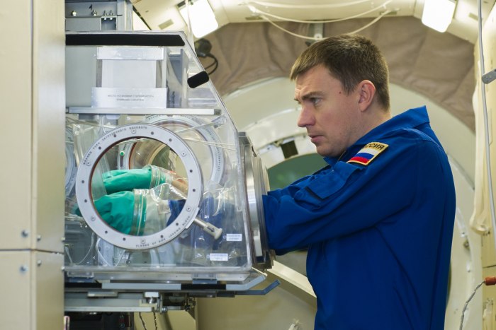 Андрей Николаевич Бабкин российский космонавт