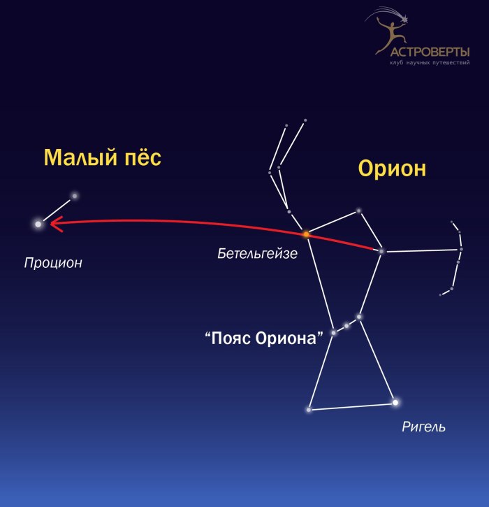 Cancer Созвездие
