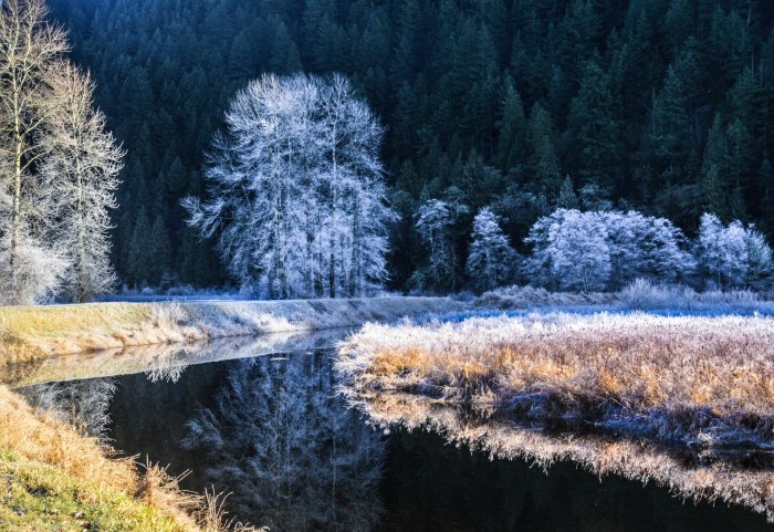 Зима лес река