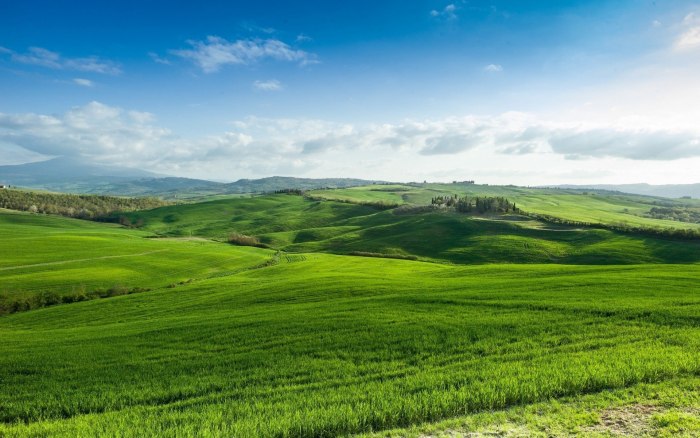 Поляна Windows XP