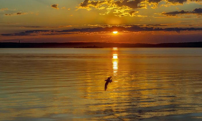 Отражение солнца в воде