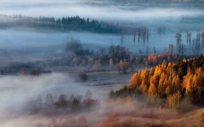 Осень туман