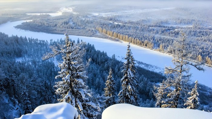 Североуральская Тайга