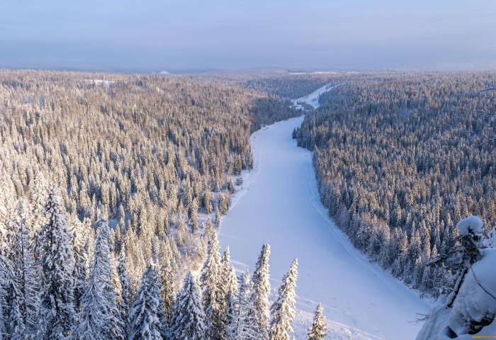 Сибирь Снежная Тайга