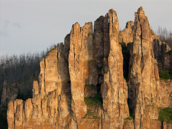 Ленские столбы бизоны