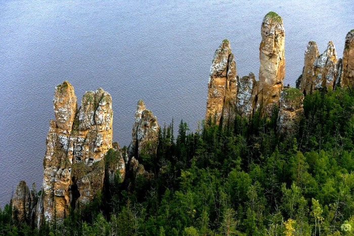 Туруук хайалара