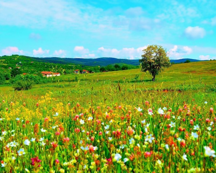 Луга Татарстана