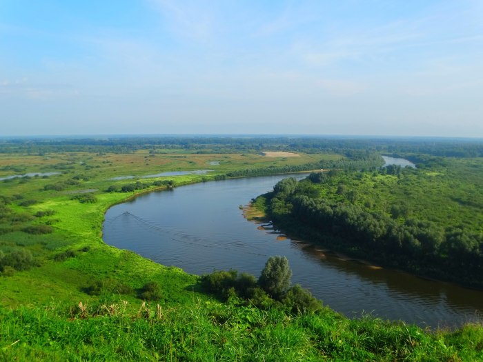 Пойма реки Клязьма