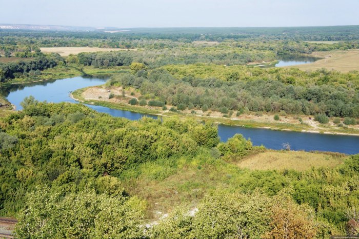 Пойма реки Сатис Саров