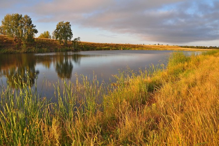 Парк в пойме реки Городни