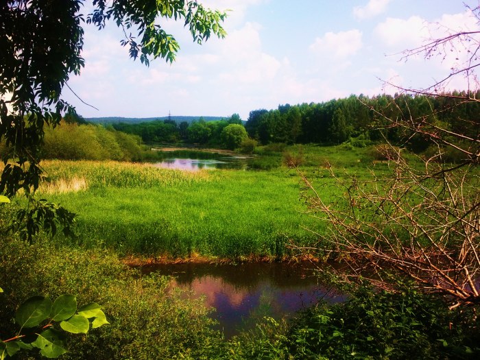 Пойма реки фото