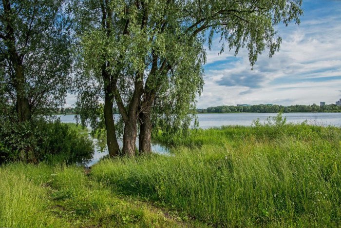 Пейзажи Пойма Весна