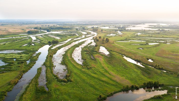 Заливной луг в пойме реки Сатис
