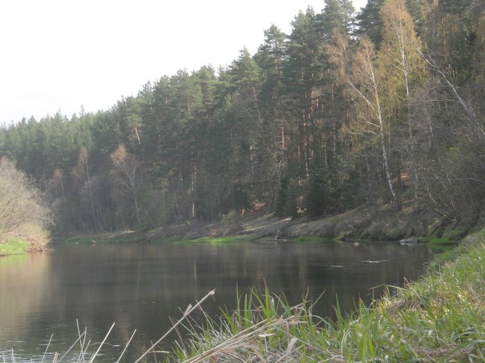 Река Городня рыбалка