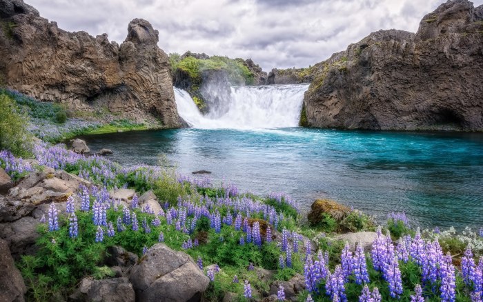 Красивая природа водопад