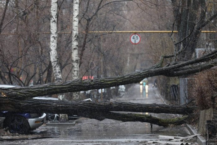 Дерево последствий