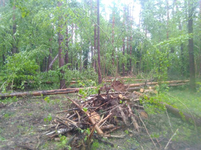 Новый Орлеан окрестности после урагана
