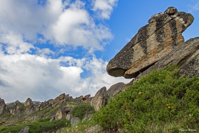 Гора Луковка. Река Катунь. Алтай.