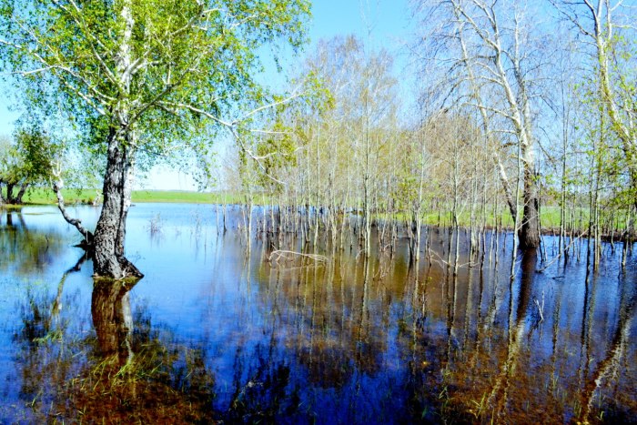 Природа весной апрель