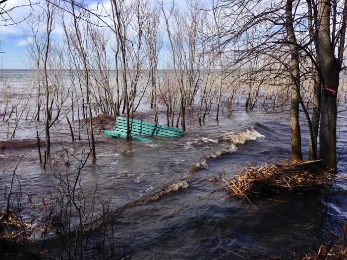 Весеннее половодье