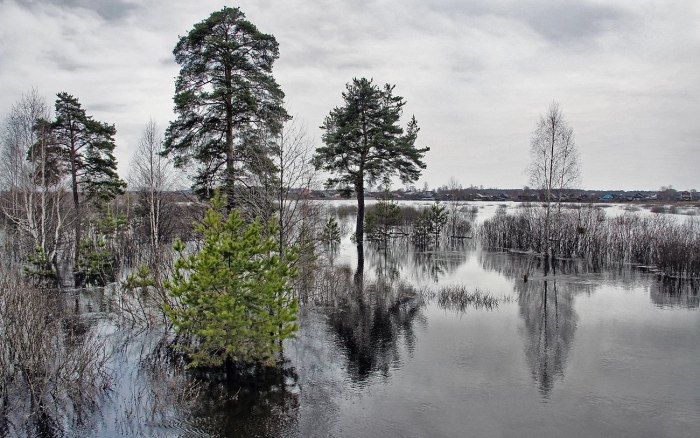 Половодье Тверская область