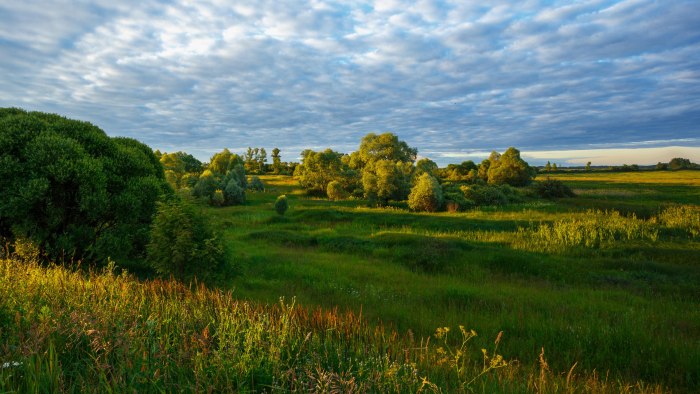 Ранохская Лощина