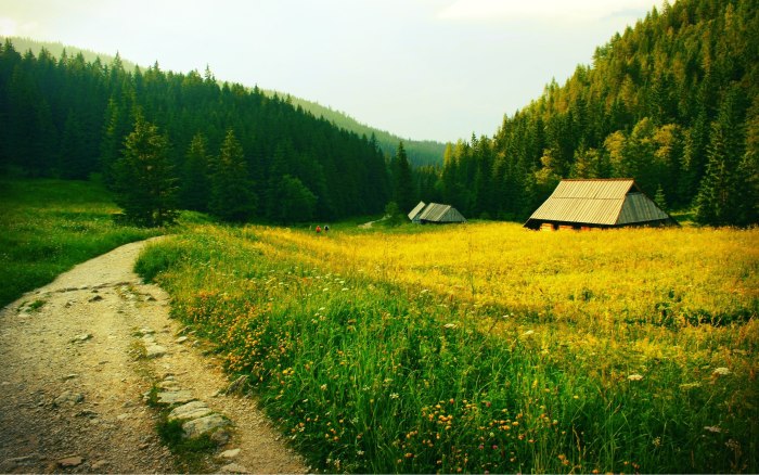 Лето в деревне
