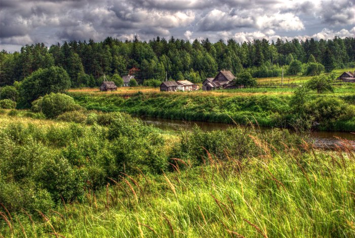 Деревня в лесу