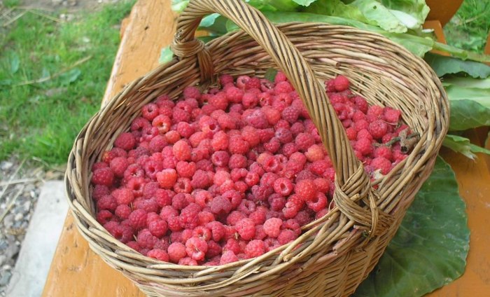 Raspberry ягода