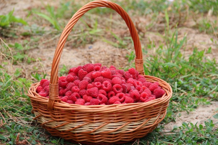 Raspberry ягода
