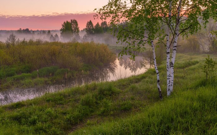 Летнее утро на реке