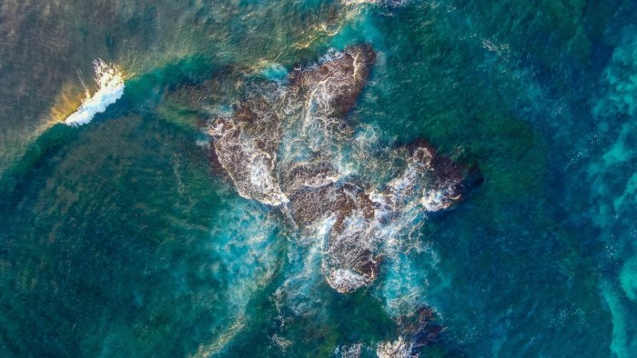 Цветение черного моря со спутника