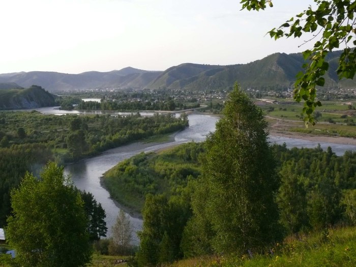 Чарышское река Чарыш
