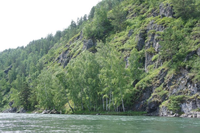 Чарыш Шипуново