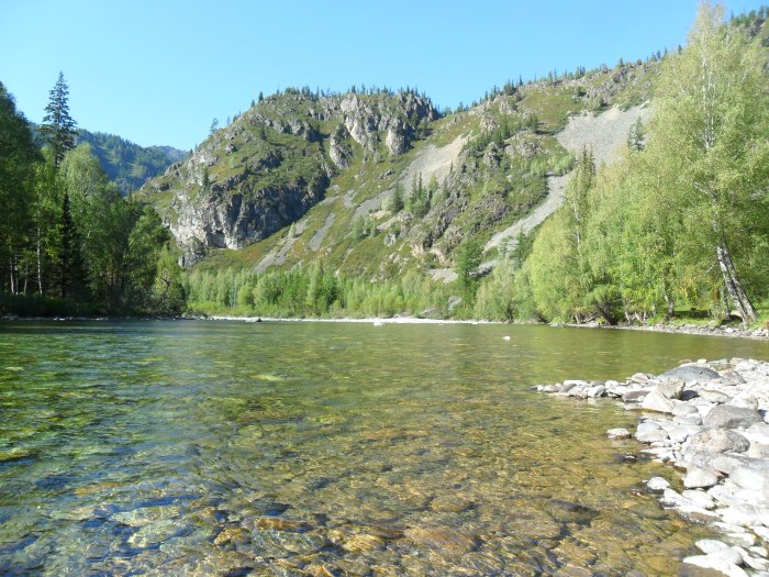 Река Чарыш горный Алтай