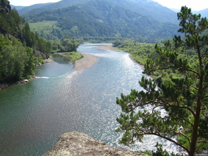 Усть Кан, Чарыш река