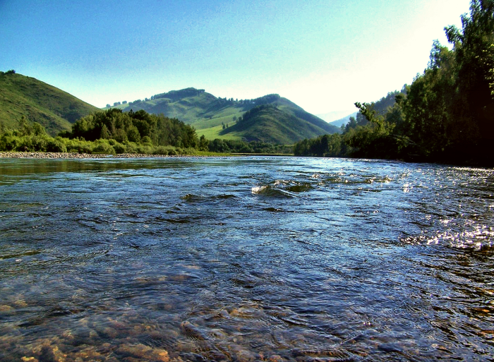 Река Чарыш Алтайский край