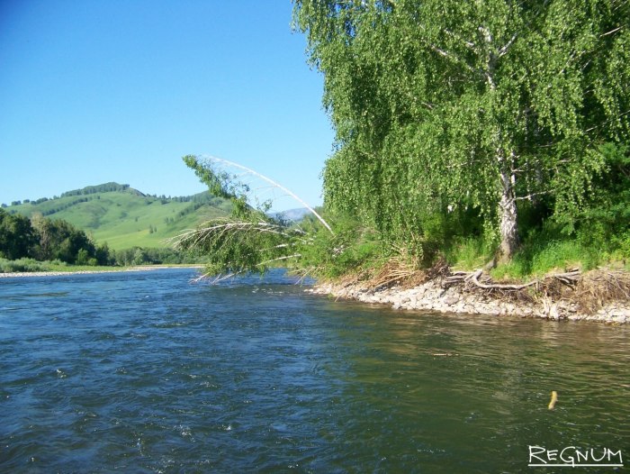 Река Коргон Республика Алтай